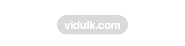 Close-up of the vidulk.com label at the bottom of Vidulk's free export
